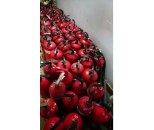 NẠP BÌNH CHỮA CHÁY TẠI QUẬN HOANG MAI HÀ NỘI