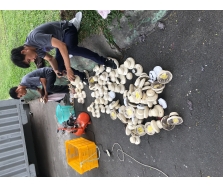 BẢO TRÌ HỆ THỐNG PCCC TẠI KHU CÔNG NGHIỆP TẠI HUYỆN NHO QUAN TĨNH NINH BÌNH;